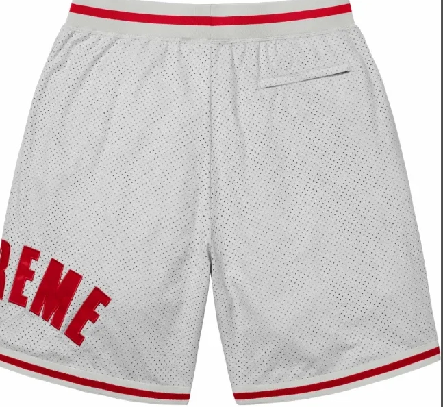 MESH shorts 24SS ULTRASUDE mesh SHORT suede 0721